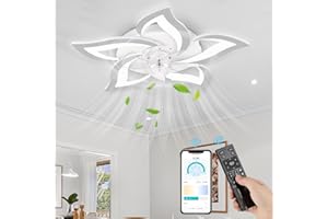 NACATIN Ventilador de Techo con Luz y Control Remoto, 30CM, Acrílico, Negro,Silencioso, con luz LED y regulación continua de intensidad y velocidad. Ideal para dormitorio, sala de estar y cocina