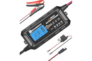 ECO-WORTHY 12V 5A Lithium LiFePO4 Battery Charger (UK Plug) Automatic Smart and Maintainer with LCD Display for Lead Acid and Lithium (LiFePO4) Battery Scooter