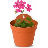 TECHZOCO Planter with Wall Bracket, Round Plastic Pot, Hanging Flowers, Made of Polypropylene, Wall Container for Flowers, 22