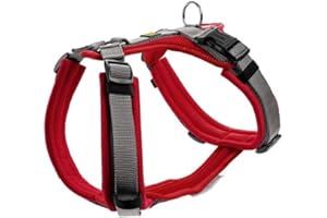 HUNTER Geschirr Maldon 60-91/M-L, Rot/Grau