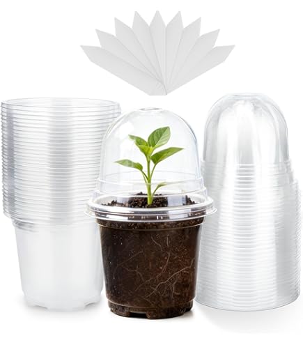 KINGLAKE 100 Pièces 10CM Pots de Fleurs,Pot pour Semis Exterieur,Pot