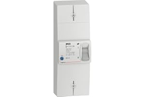Legrand 401006 Disjoncteur de Branchement Enedis Bipolaire Différentiel, 500mA, Sélectif Intensité 60A