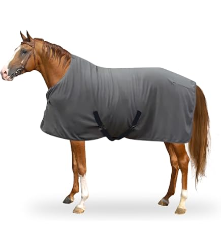 Waldhausen Coperta Antipioggia Economica Per Cavallo, Modello 80027, Nuova