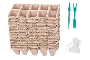 Beihaoer Semences Plantables 10 Plateaux de semis | Pots de Plantation biodégradables compostables