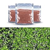 Handfly Samen von Wasserpflanzen-Fischbehälter Zierpflanzen...