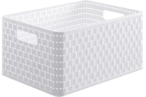 Rotho Country Boîte de rangement 18l en rotin, Plastique (PP) sans BPA, blanc, A4/18l (36.8 x 27.8 x 19.1 cm)