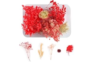 WJIAEER Fiori secchi naturali in rilievo Fiori conservati Resina DIY Gioielli Candela Nail art Crafts Scrapbooking Decorazione floreale (O). (D)