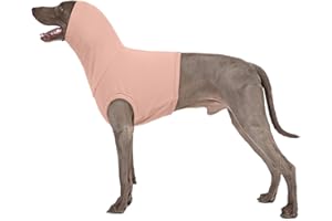 PUMYPOREITY Snood pour Chien, Cache Cou Protection Oreille Tour de Cou et Oreilles Gilet Post-Opératoire Chemise Chirurgicale pour Chien Couvre-Cou(Rose Chair, 2XL)