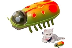 Ailan Pet Mini Marienkäfer, elektrisches Katzenspielzeug, kann Licht ausstrahlen, interaktives Spielzeug, Käfer, Lernspielzeug für Katzen und Kätzchen zum Spielen und Trainieren (grün schwarz)