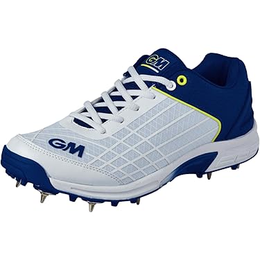 Nike Performance PEGASUS PREMIUM - Hardloopschoenen voor op de weg - football grey/metallic platinum-coloured/world indigo/white/lichtblauw