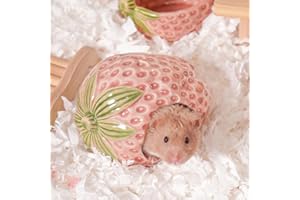 Kelivi Keramik Hamster Versteck, Erdbeere Zwerg Hamster Haus, Meerschweinchen Habitat Dekor, Versteck Haus für Gerbil, Cool Bed für alle Jahreszeiten (Rosa)