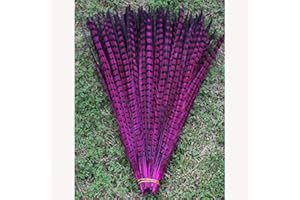 ESOES 10 plumas de faisán de naturaleza de 30 a 35 cm de plumas de cola para manualidades o decoración (rosa)