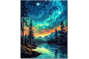 TISHIRON Peinture pour adultes, peinture par numéros adultes, aurores sur forêt magique, aurores boréales, paysage de nuit, peinture par numéros adultes - 40,6 x 50,8 cm
