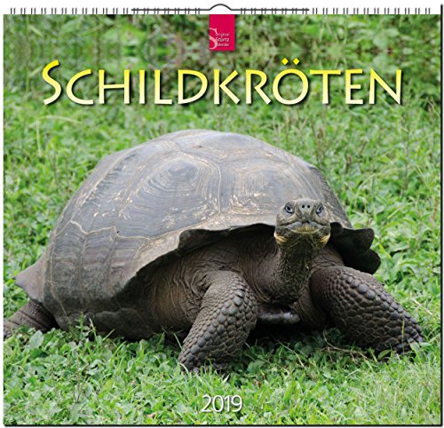 MF-Kalender SCHILDKRÖTEN 2019