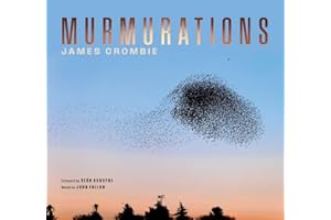 Murmurations