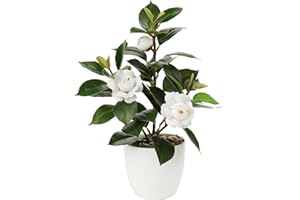 Oairse Artificial Plant Camellia 28cm Fake Plants in Pots Faux Camellia Plants Potted with White Fake Flower Small Bonsai Tree for Home Bedroom Office Desk Kitchen Decoration