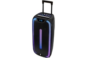 Woxter Rock'n'Roller ST - Altavoz Trolley Bluetooth Rock'n'Roller ST, 100W, 4,5 Ah de batería, Bluetooth, AUX, Tarjeta de Memoria SD, Pantalla LED
