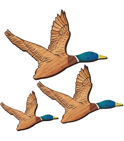 Targa In Latta Decorativa A Forma Di Anatra 20x30 Cm – Poster Con Enciclopedia Delle Specie Di Anatra, Per Cacciatori E Amanti Del Birdwatching - 3