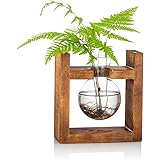 Stazione Di Propagazione 1 Pz Lampadina Vaso Di Avocado Vaso Di Ghianda Di Vetro Per Fiori Terrario Vaso Di Fioriera Con Port