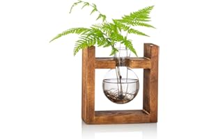 GLASSEAM Station De Propagation 1 Pc Ampoule Vase D'avocat Vase en Verre De Gland pour Fleurs Terrarium Pot Planteur avec Support De Support en Bois pour Plantes d'eau Verte Adapté pour La Maison Cuisine Tabl
