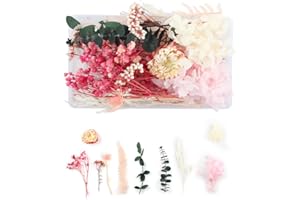WJIAEER Flores naturales secas en relieve Flores preservadas Resina DIY Joyería Vela Arte de uñas Artesanía Scrapbooking Decoración floral（O）. (T)