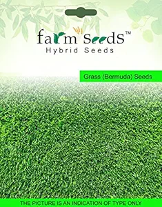 Farm Seeds Grass (Bermuda) 500 Grm Seed