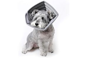 PETCUTE Conos De Mascotas Collarin Isabelino Collar de recuperación para Perros Ajustable para Cachorros Perros PequeñOs y Gatos RecuperacióN Collarines para Curar Protector Después de la Cirugía
