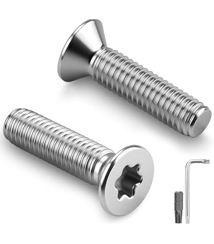 Schroeven en beugels: Schroeven roestvrijstaal (Torx