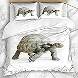 HATESAH Bedding - Duvet Cover Set Turtle Large Tortoise Walking On Endangered White Nature Giant Galapagos Aldabra Exotic Design Microfiber New Three-Piece Set Of Various Patterns 200 * 200