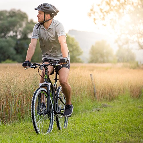 Bergsteiger Phoenix 26 Zoll Mountainbike, Fully, Scheibenbremsen, 21 Gang Shimano - 7