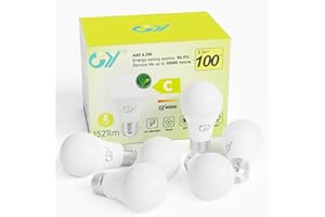 GY E27 LED Neutralweiss Lampe 9.5W 4000K 1521 Lumen Neutralweiß Leuchtmittel,A60 Energiesparlampe 100W Halogenlampe ersetzt,Nicht Dimmbar LED Birnen,6 stück [Energieeffizienzklasse C]