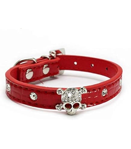 Hundehalsband Mit Strass - 5 Cm Breit, 5-reihig, Verstellbar (M: 43-50 Cm), Aus PU-Leder, In Gold
