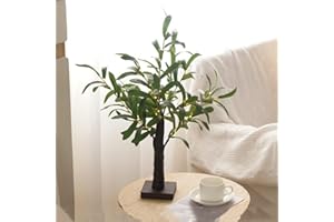 HFHUNGKEONG 55cm Olivenblatt Baum-Licht für Tischplatte Mini Leuchtbaum Bonsai Baum mit künstlichen Olivenblättern und 30 warmweißen LED für Kamin Schlafzimmer Zuhause Party Hochzeit Weihnachtsdekoration