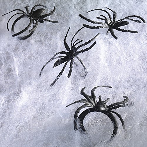 Preisvergleich Produktbild Susy Card 11417318 - Spinnennetz