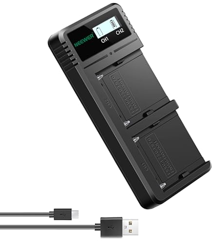 Caricabatteria Doppio PATONA Per Sony NP-FM500H, NP-F970, NP-FM50 - USB-C/Micro USB - Foto 8