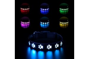 ANKILO Świecąca obroża dla psa, ładowana przez USB obroża LED, wodoodporna obroża LED dla psa, 7 zmiany koloru, regulowana dla małych średnich i dużych psów (M)