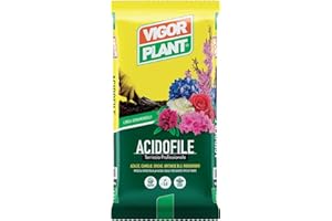 VIGORPLANT TERRICCIO PER PIANTE ACIDOFILE 20LT