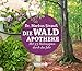 Die Wald-Apotheke: Mit 53 Heilrezepten durch das Jahr by 