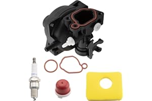 ‎FANPAYY FanPaYY Vergaser Rasenmäher Motor Ersatz Kit für Briggs & Stratton mit O-Ring Unterlegscheibe 799583 591160 593261 591110 300E 450E 500E Serie
