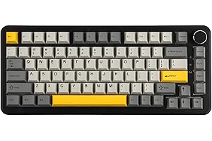 MechLands AJAZZ AK820 MAX HE Rapid Trigger Keyboard, tastiera da gioco cablata/wireless, tastiera meccanica effetto hall, funzionamento regolabile, interruttore magnetico (nero, cablato)