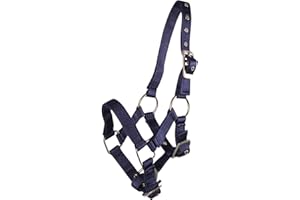 Fohlenhalfter Halfter Fohlen Nylonhalfter QHP 4 Fohlengrößen 6 Farben (Fallabella Fohlen, blau)