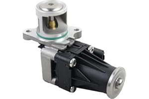 Valvole EGR Compatibile 1702178 con V-o-l-v-o C-i-t-r-o-e-n P-e-u-g-e-o-t F-o-r-d 1618ln 36001487 Bisenya