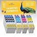Produktbild 10 x Tintenpatronen kompatibel zu EPSON 1631-1634 Workforce WF-2510 / WF-2510WF DISA