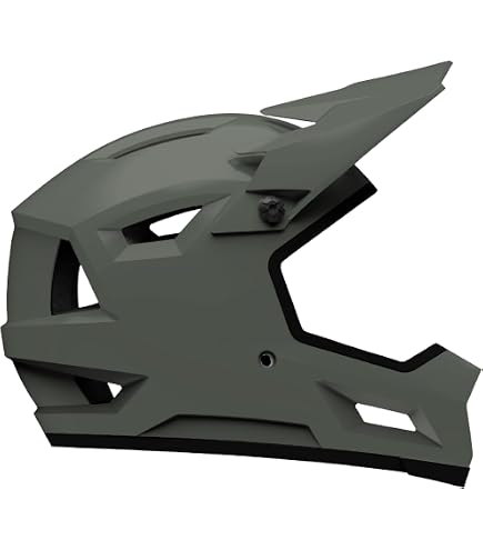 central carrollton lions football helmet Central High School (Carrollton, GA) Football