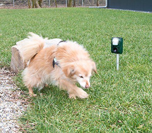 Exbuster Ultraschall-Solar-Tierschreck mit Blitzlicht und Bewegungssensor - 5