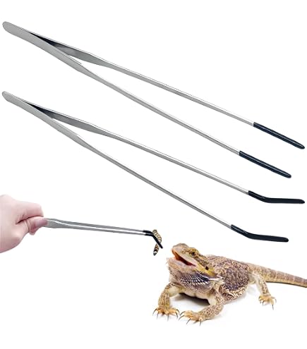 Reptilien-Futterzange Aus Edelstahl – 2-teilig (gerade & Gebogen), Mit Gummispitzen, 25,4-26,7 Cm