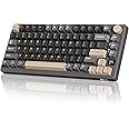 RK ROYAL KLUDGE M75 Wireless Mechanical Keyboard 2.4Ghz/BT5.1/USB-C Gaming Keyboard 75% Layout 81 Keys Gasket Mount with OLED Display & Knob RGB Backlight Hot-Swappable Red Switch, Grey, US Layout