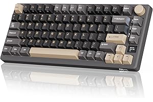 RK ROYAL KLUDGE M75 Wireless Mechanical Keyboard 2.4Ghz/BT5.1/USB-C Gaming Keyboard 75% Layout 81 Keys Gasket Mount with OLED Display & Knob RGB Backlight Hot-Swappable Red Switch, Grey, US Layout