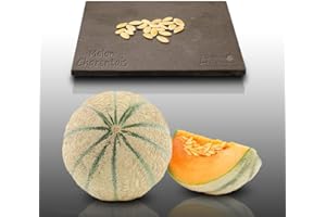 LE GRENIER D'ABONDANCE LES GRAINES QUI DONNENT ENVIE 20 graines à semer - Le Grenier d'Abondance - MELON Charentais - Cucumis melo