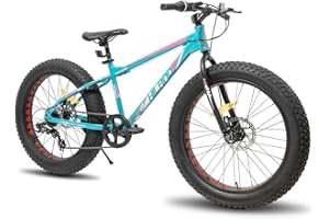 HH HILAND Hiland Vélo de Montagne 20 ", 7 Vitesses, Freins à Disque Double pour garçons et Filles, argenté/Vert/Blanc/Bleu